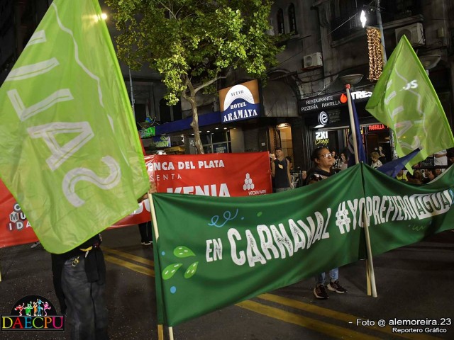 DESFILE_DE_CARNAVAL_066