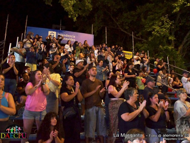 DESFILE_DE_CARNAVAL_178