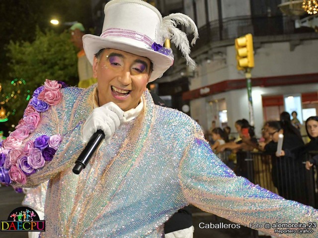 DESFILE_DE_CARNAVAL_246