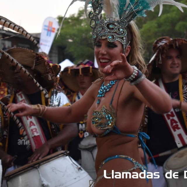 Llamadas DAECPU 2019