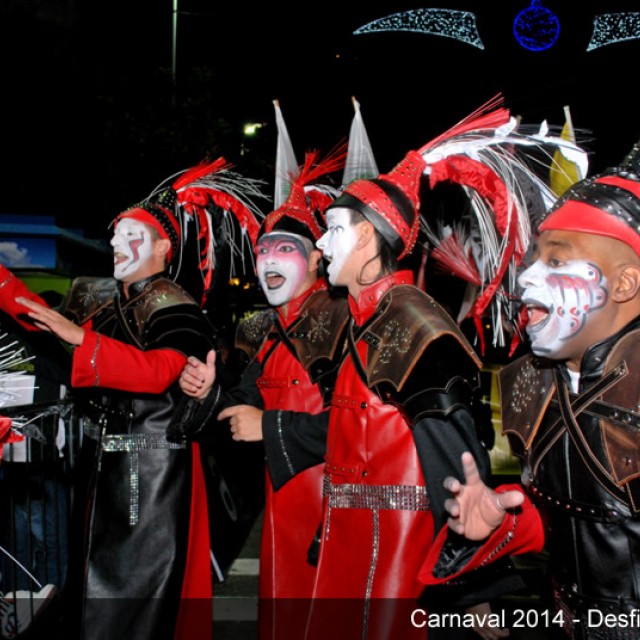 Desfile Carnaval 2014
