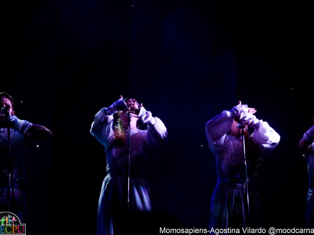 Etapa_7_15