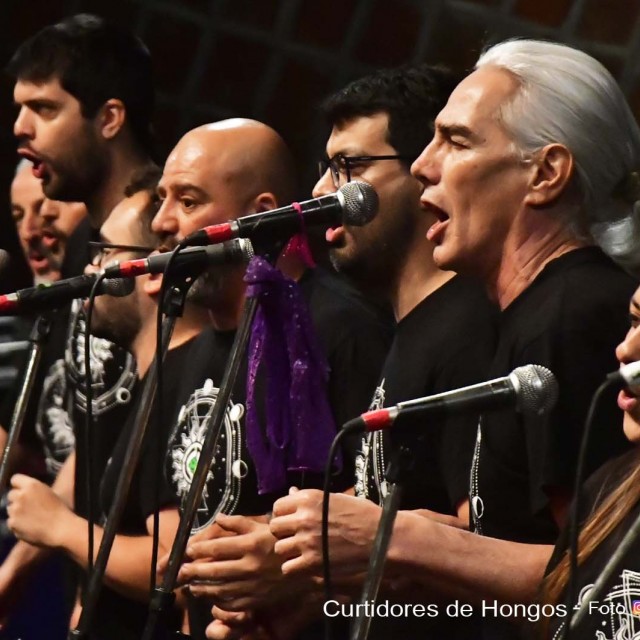 Galer&iacute;a de fotos de la etapa 1