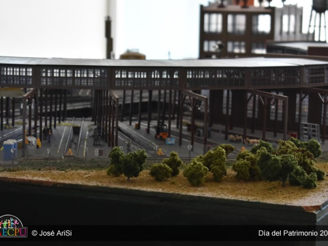 dsc-0310-rhjbvlvm